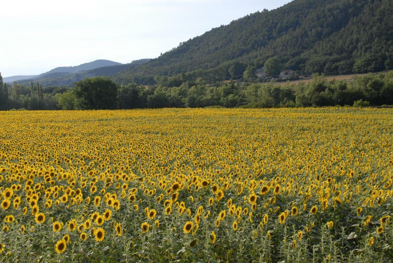 "Le Pigeonnier" Chambre D'Hote Piégros-la-Clastre Εξωτερικό φωτογραφία