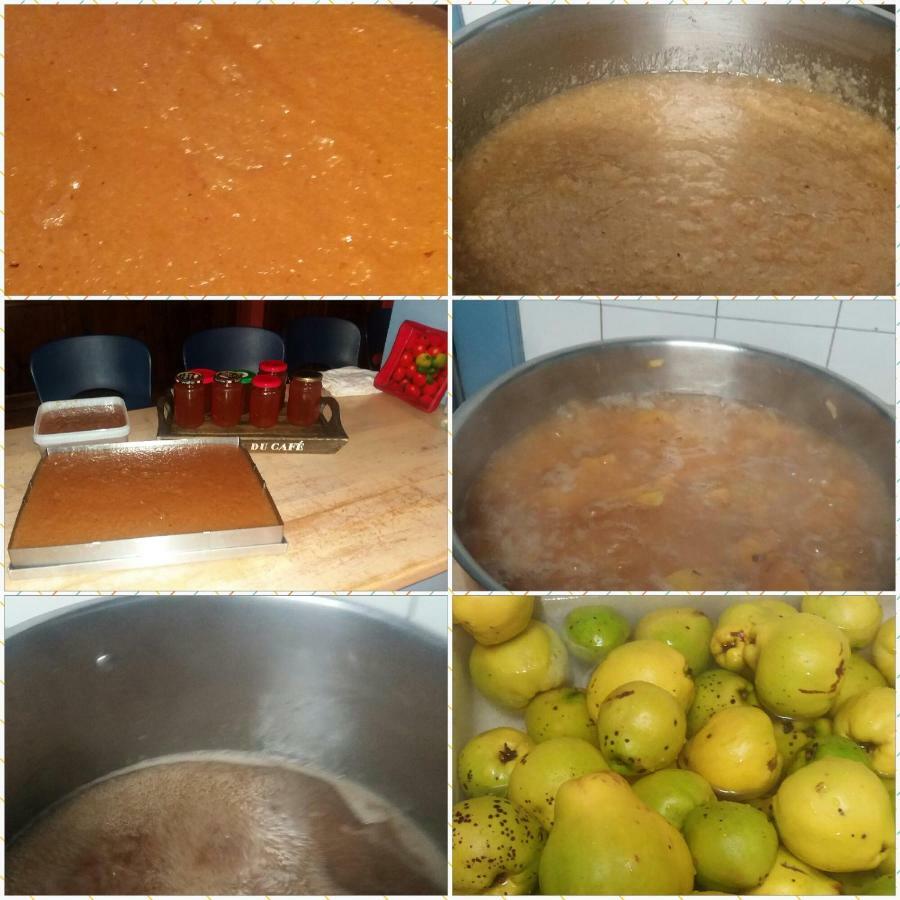 "Le Pigeonnier" Chambre D'Hote Piégros-la-Clastre Εξωτερικό φωτογραφία